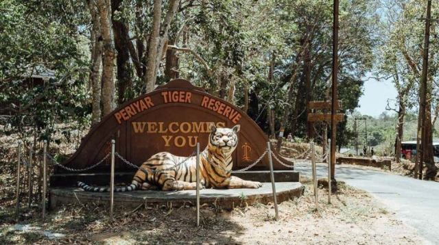 Periyar National Park – Kaziranga National Park and Tiger Reserve ~ Tour Packages & Safari Bookings Official